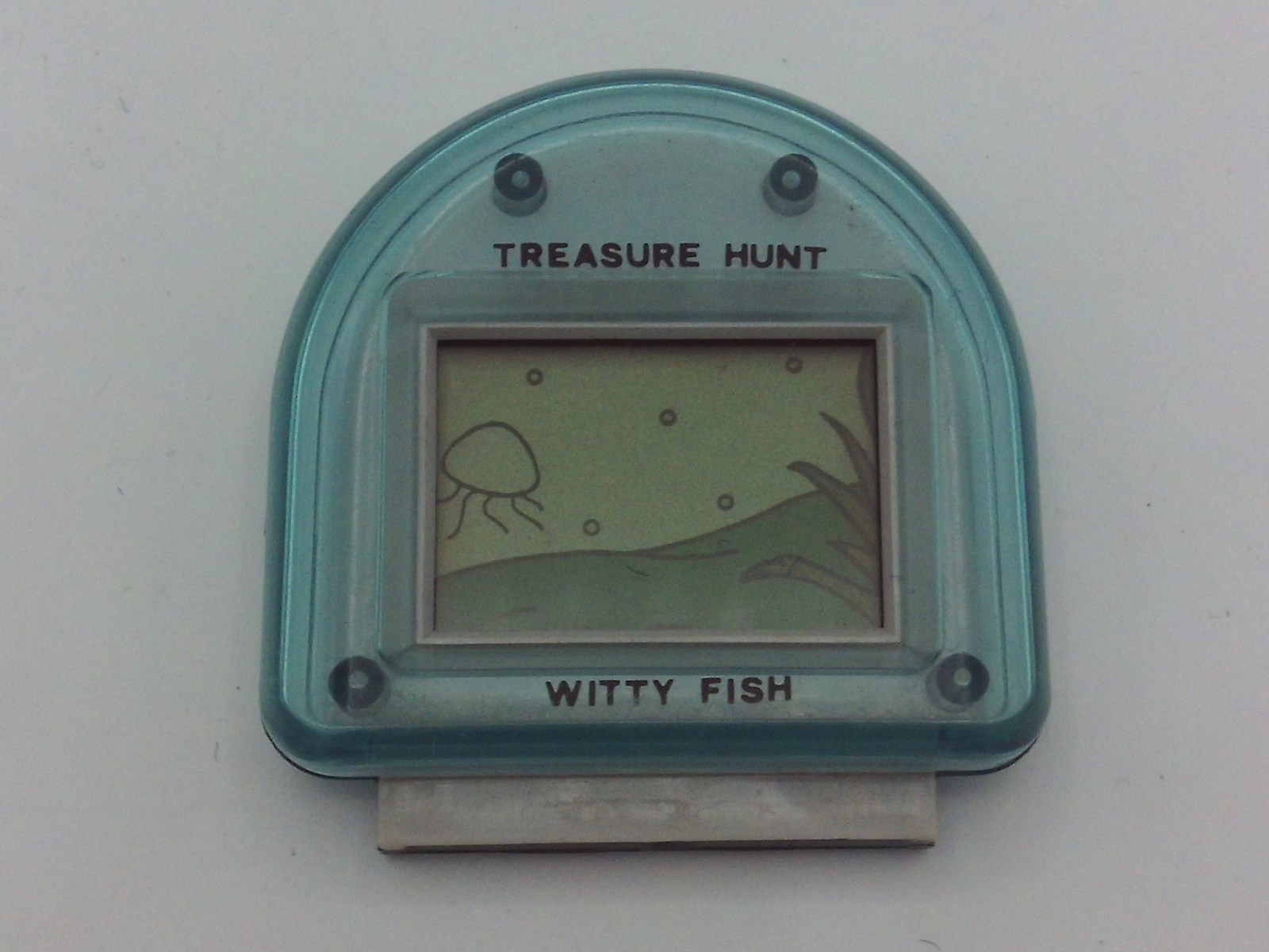 Treasure Hunt - Witty Fish