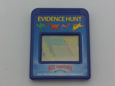 Evidence Hunt