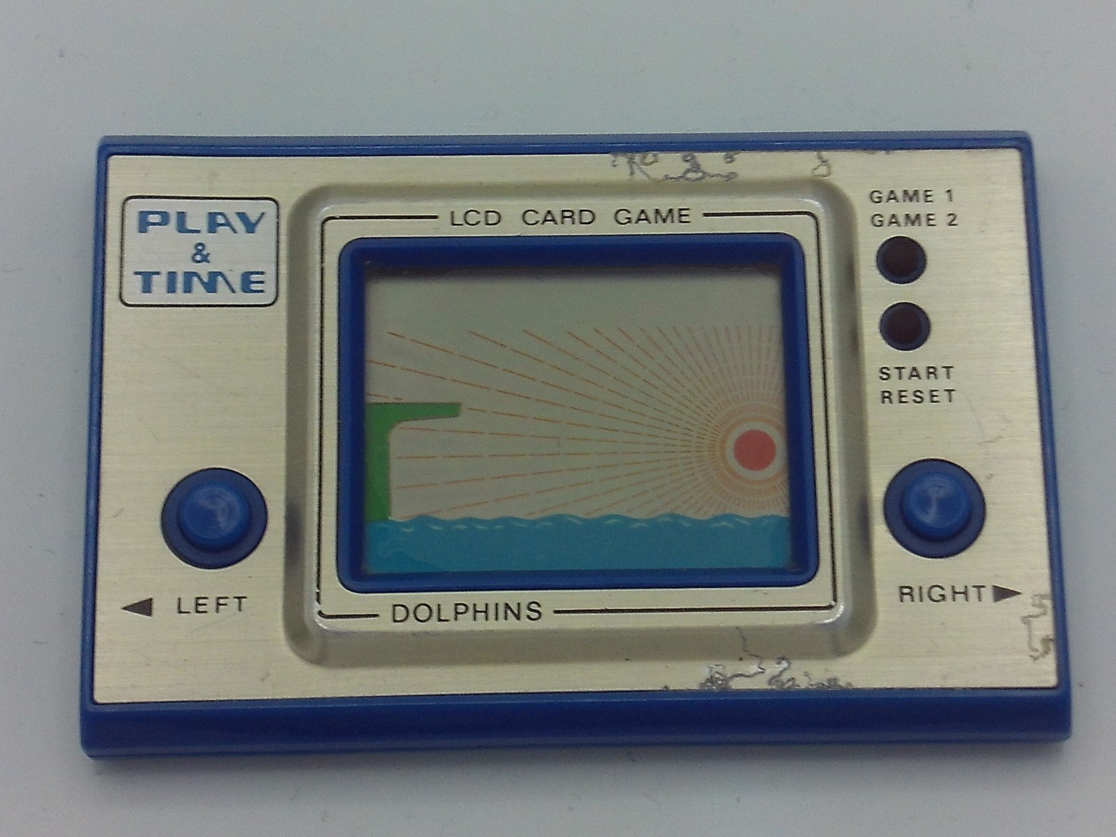 Dolphins