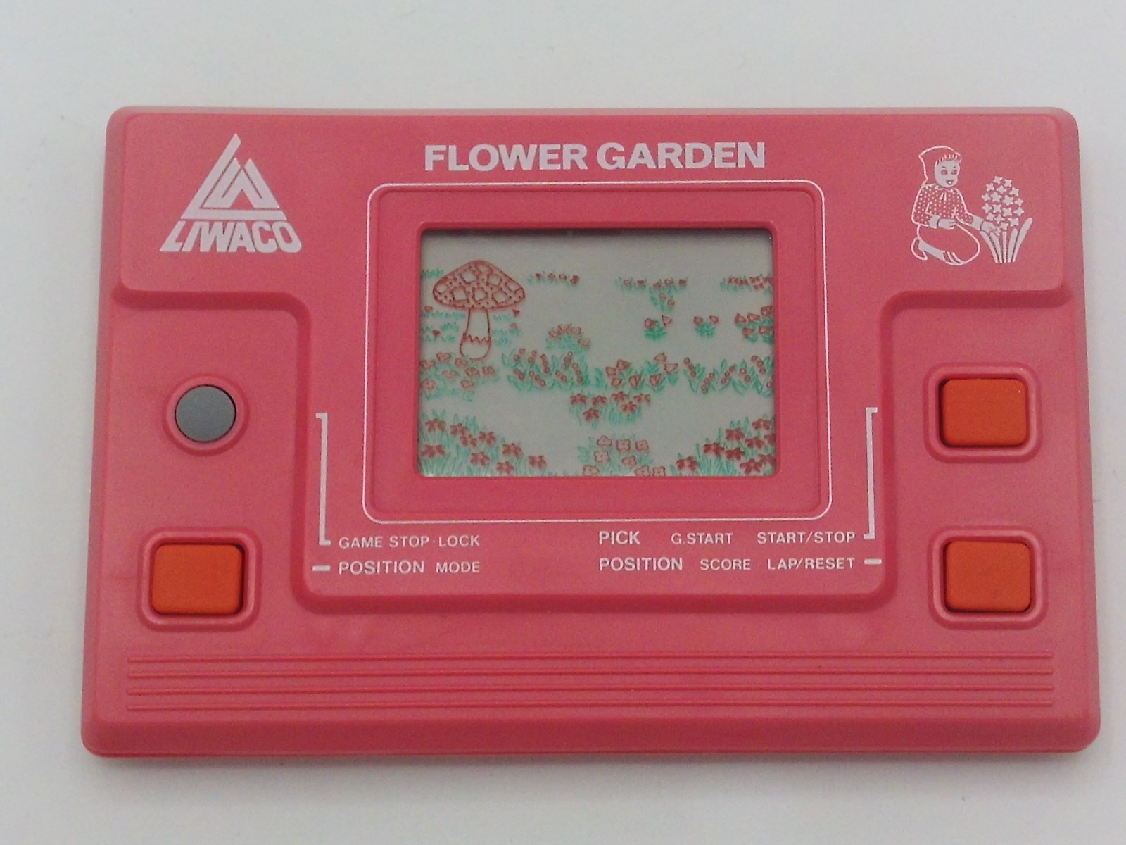 Flower Garden