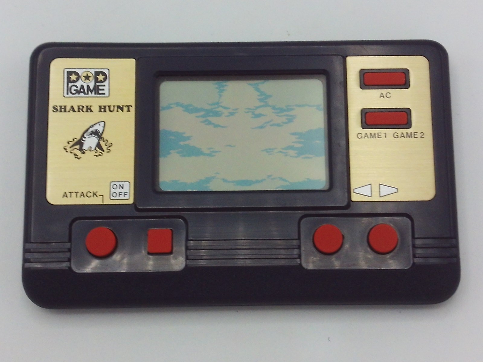Shark Hunt