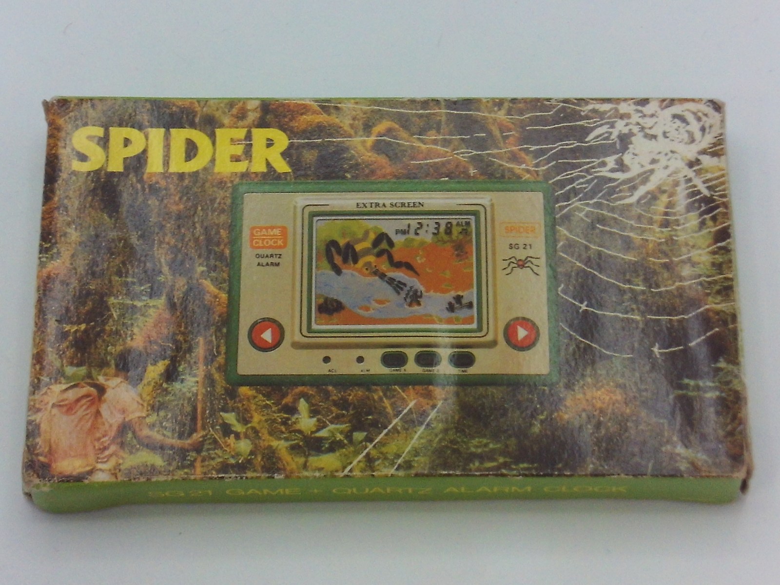 Spider