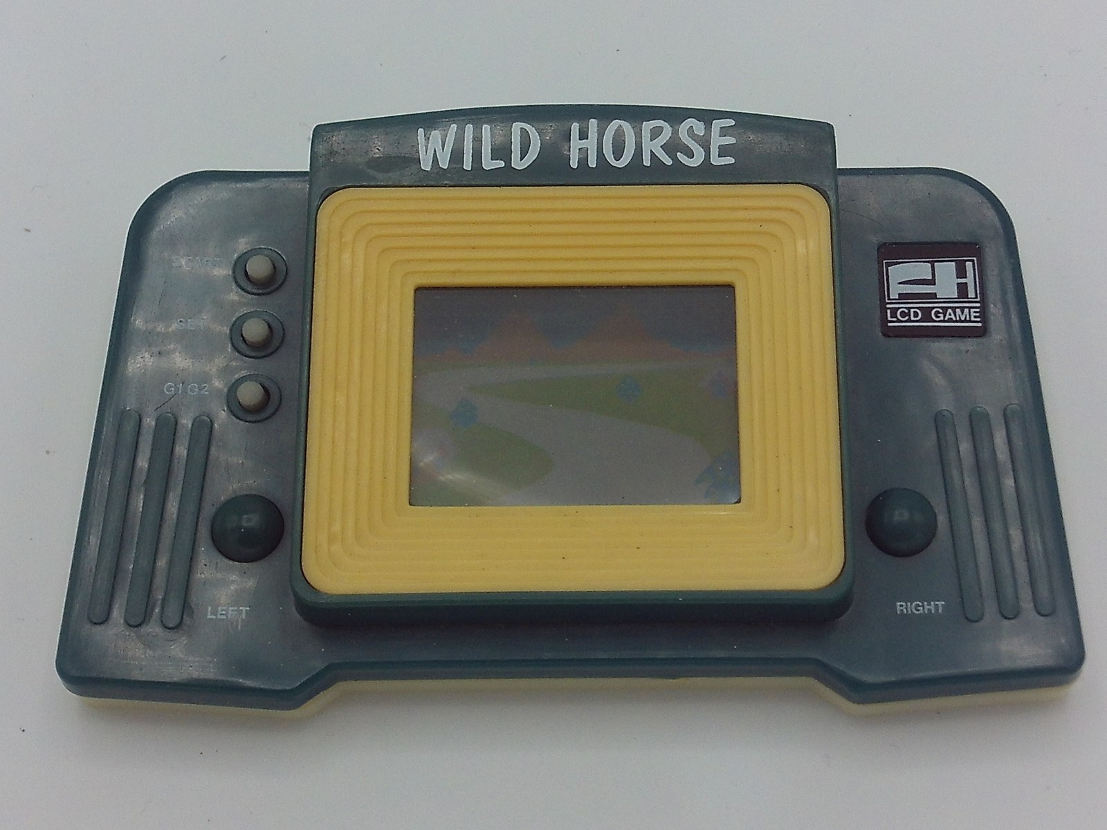 Wild Horse