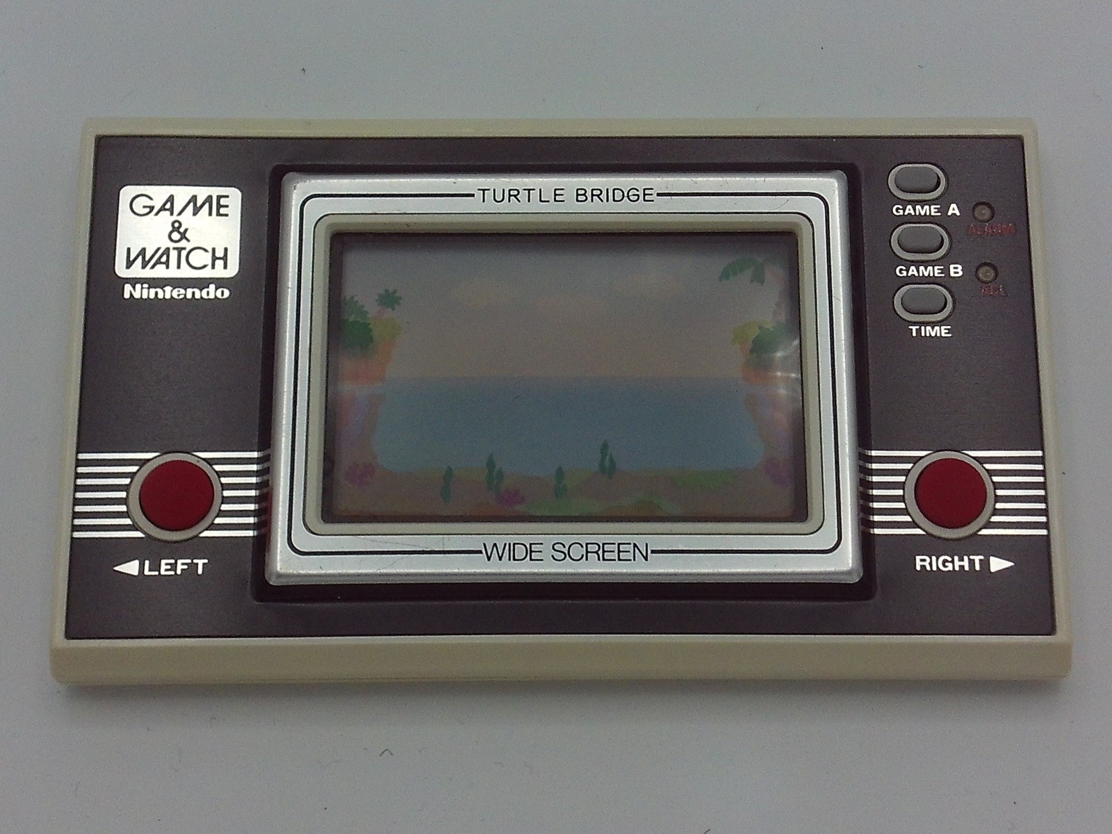 Turtle Bridge