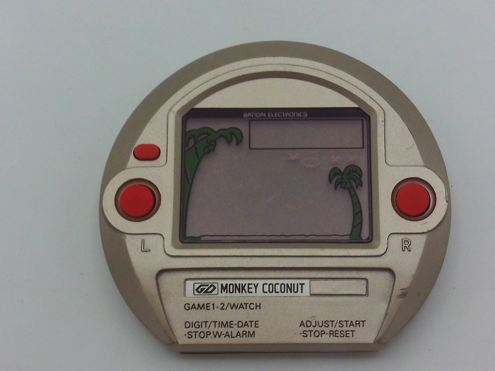 Monkey Coconut