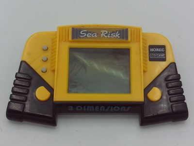 Sea Risk