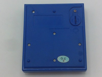 Pirate (blue version)