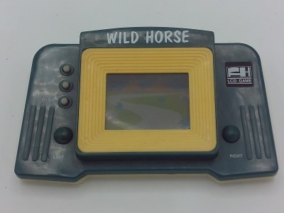 Wild Horse